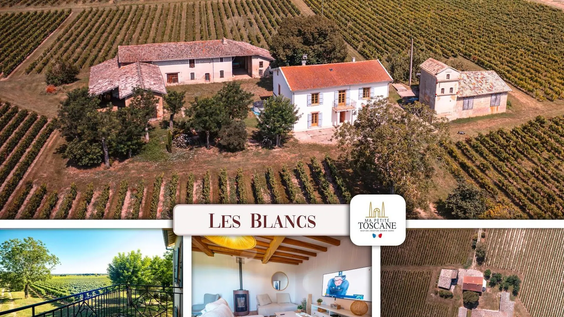 Villa Les Blancs - Au Coeur Des Vignes - Piscine Lisle-sur-Tarn